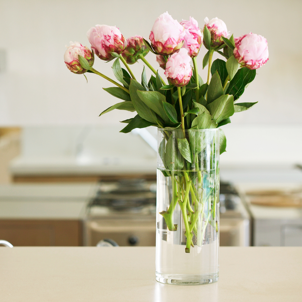 Descubre Cómo Mantener Frescas tus Flores Durante Más Tiempo con Vinagre